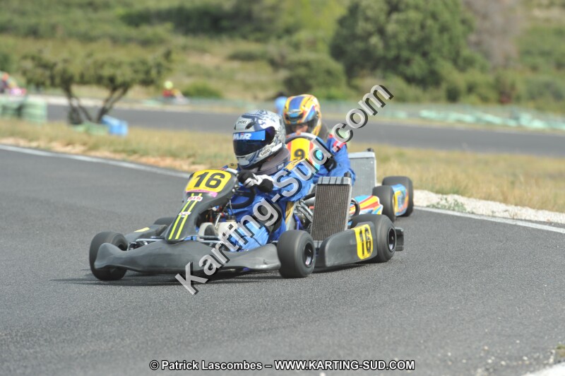 DSC (3700).JPG